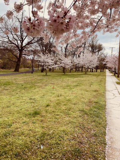 Oxon Run Park - Washington,