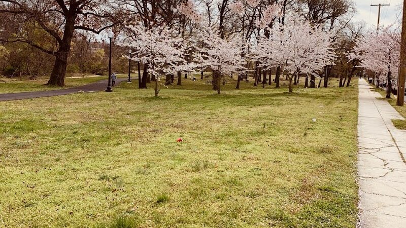 Oxon Run Park - Washington,