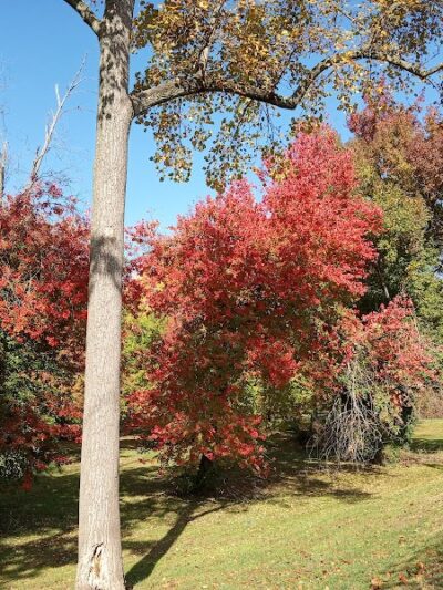 Oxon Run Park - Washington,