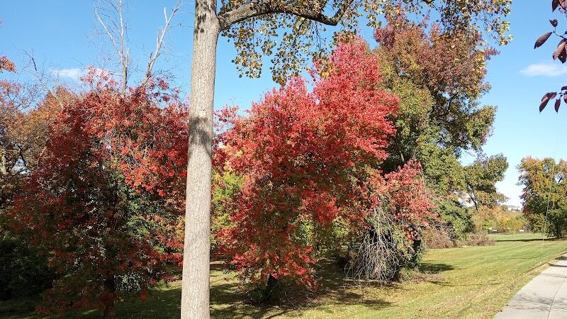 Oxon Run Park - Washington,