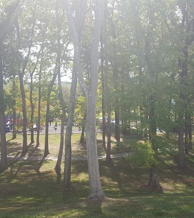 Oxon Run Parkway - Washington,