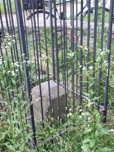 Oxon Run Parkway - Washington,