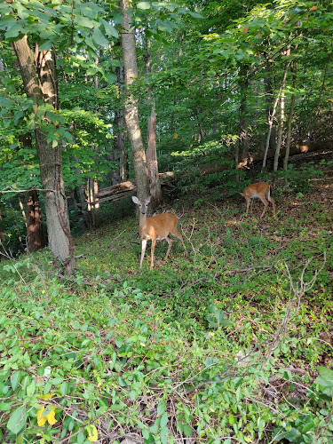 Oxon Run Parkway - Washington,