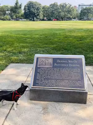 Providence Park - Washington,