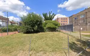 Public Dog Park - Washington,