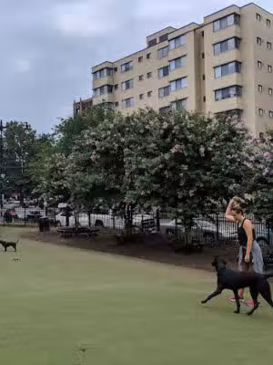 S Street Park - Washington,