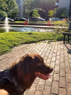 Southwest Duck Pond - Washington,