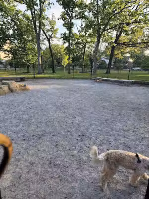 Takoma Dog Park - Washington,