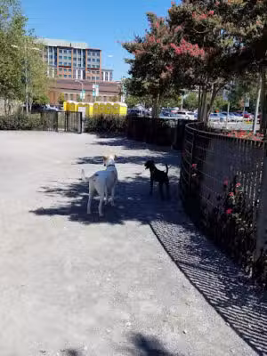 The Yards Park - Washington,