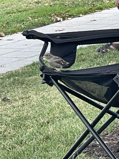 Yards Park Splash Pool - Washington,