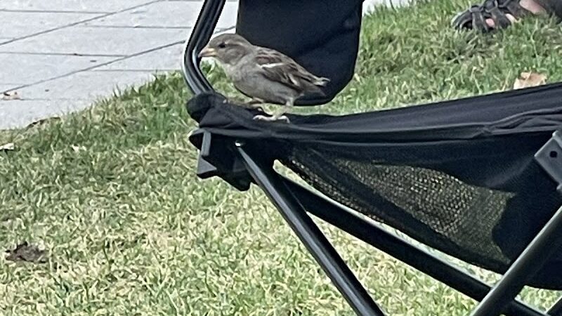 Yards Park Splash Pool - Washington,