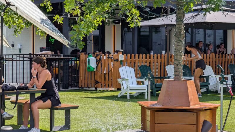 Dog Daze Social Club - Washington,