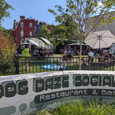 Dog Daze Social Club - Washington,