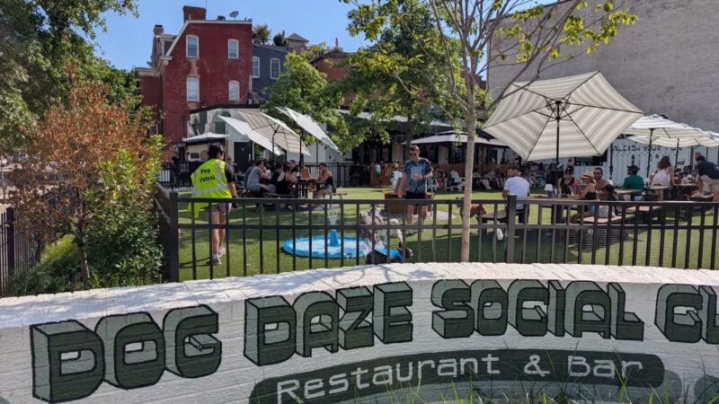 Dog Daze Social Club - Washington,