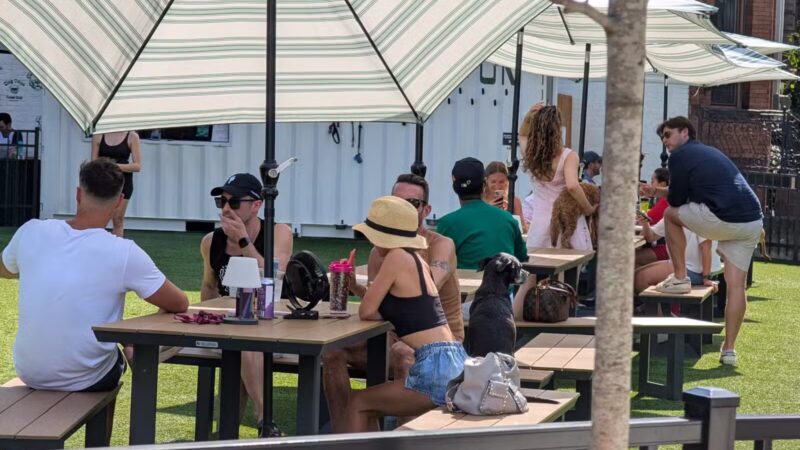 Dog Daze Social Club - Washington,