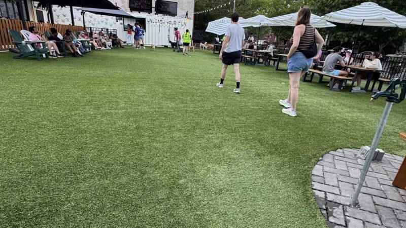 Dog Daze Social Club - Washington,