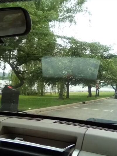 East Potomac Park - Washington,