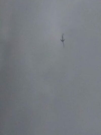 East Potomac Park - Washington,