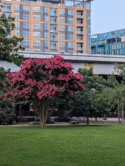 Garfield Park - Washington,