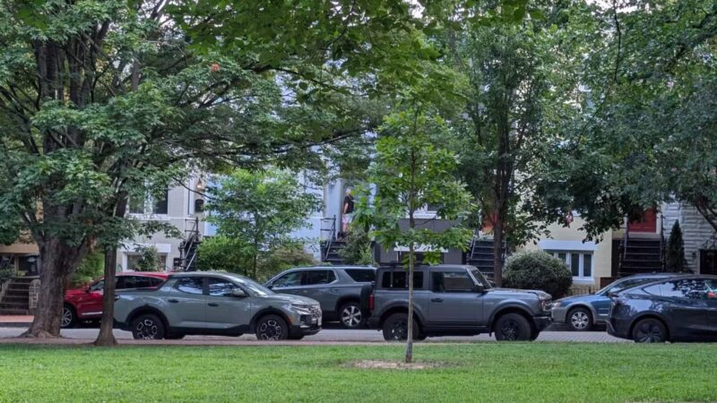 Garfield Park - Washington,