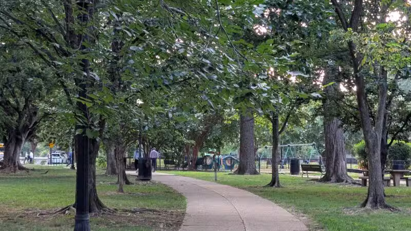 Garfield Park - Washington,