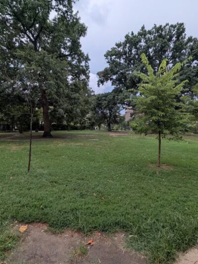 Kalorama Park - Washington,