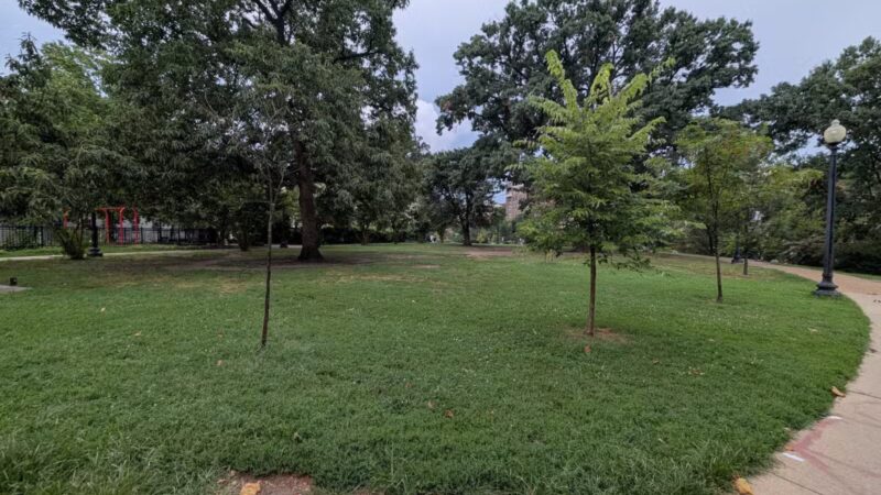 Kalorama Park - Washington,