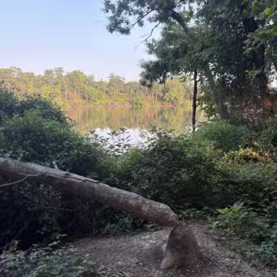 Kingman And Heritage Islands Park - Washington,