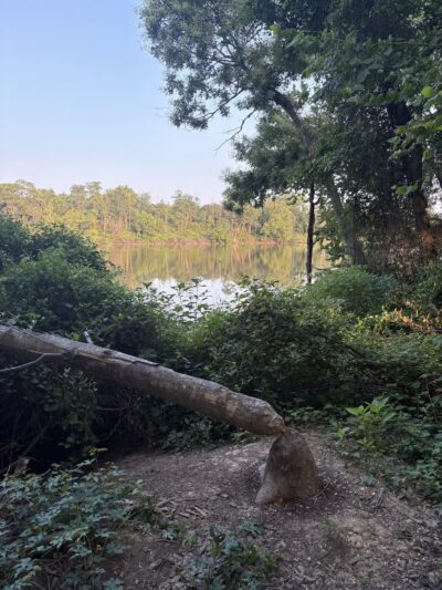 Kingman And Heritage Islands Park - Washington,