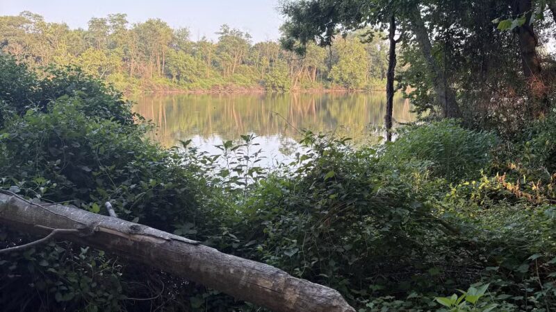 Kingman And Heritage Islands Park - Washington,