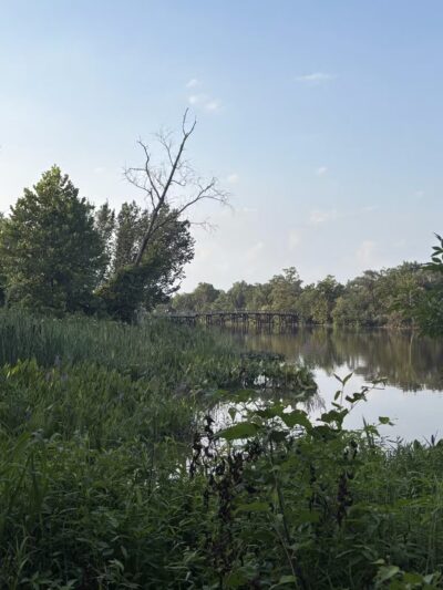 Kingman And Heritage Islands Park - Washington,