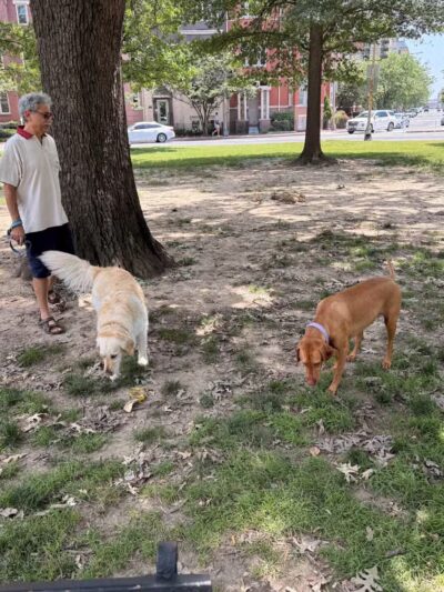 Logan Circle - Washington,