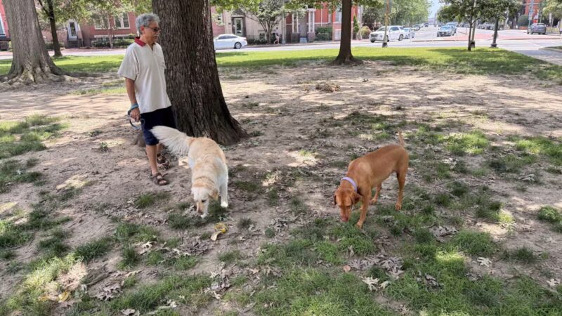 Logan Circle - Washington,