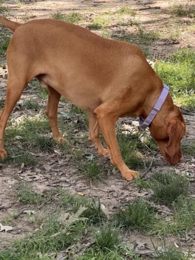 Logan Circle - Washington,