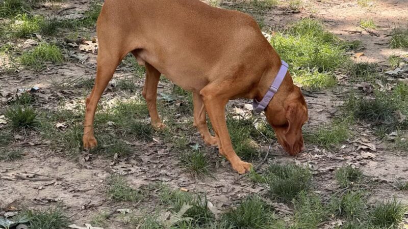 Logan Circle - Washington,