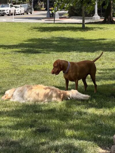 Logan Circle - Washington,