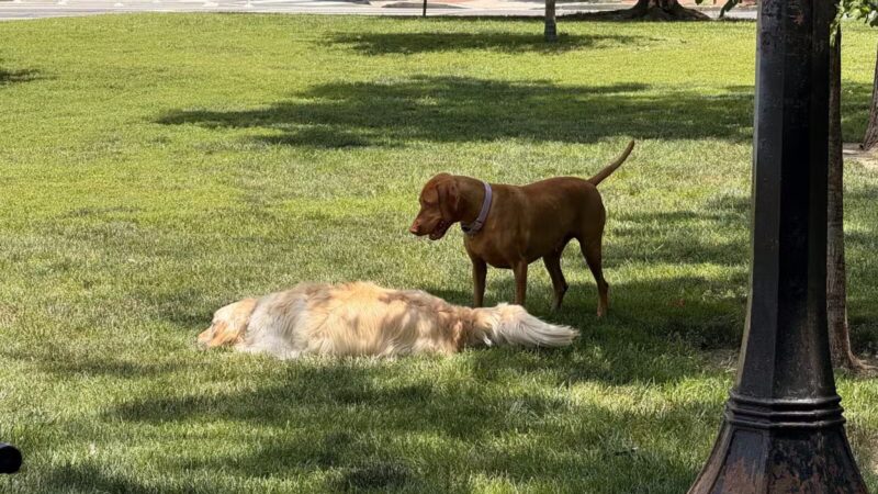 Logan Circle - Washington,