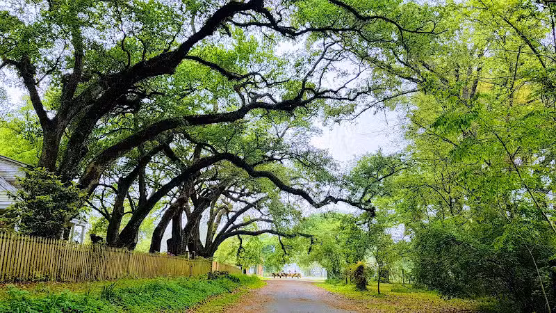 Washington - Washington, LA