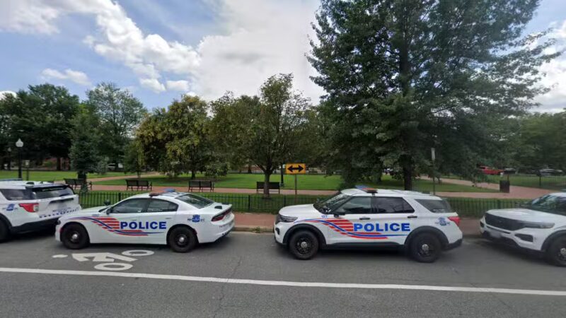 Marion Park - Washington,