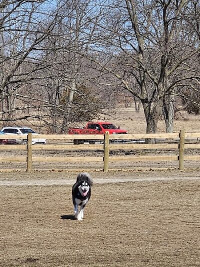 Stony Creek Dog Park - Washington, MI
