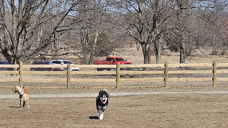 Stony Creek Dog Park - Washington, MI