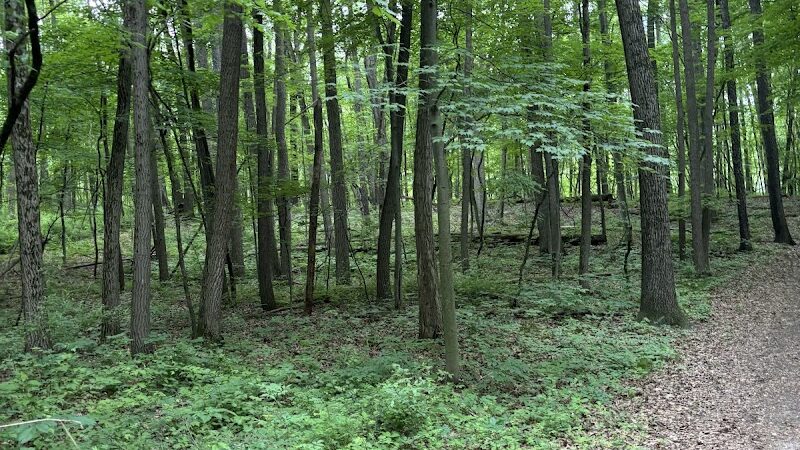 Stony Creek Dog Park - Washington, MI