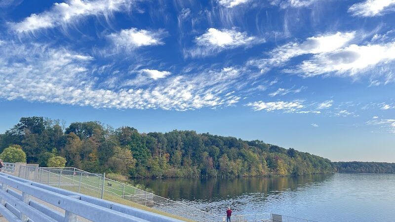 Stony Creek Dog Park - Washington, MI