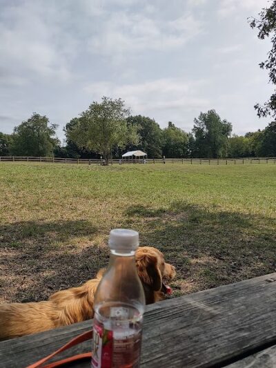 Stony Creek Dog Park - Washington, MI