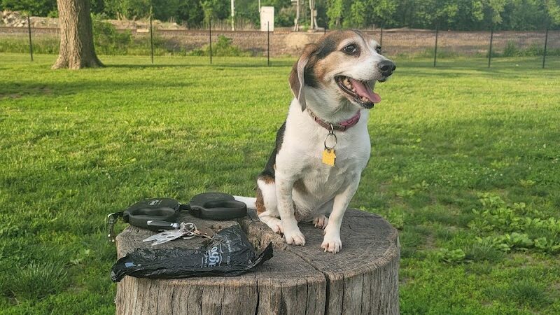 Southpoint Dog Park - Washington, MO