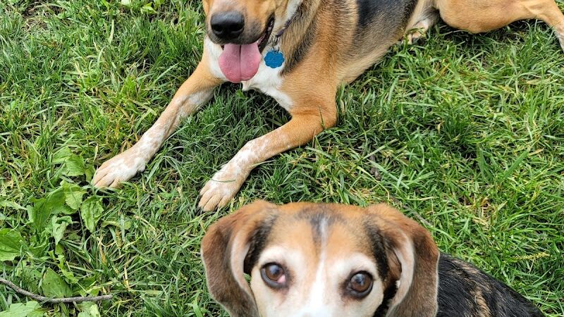 Southpoint Dog Park - Washington, MO