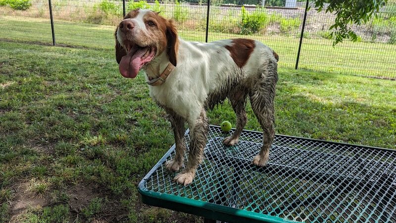 Southpoint Dog Park - Washington, MO