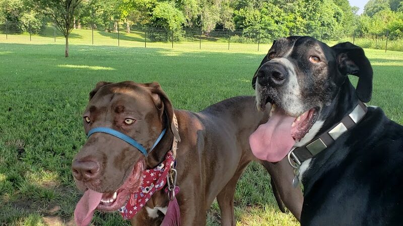 Southpoint Dog Park - Washington, MO