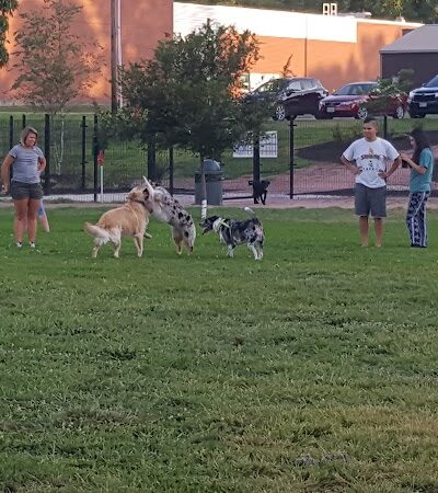 Southpoint Dog Park - Washington, MO