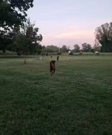 Southpoint Dog Park - Washington, MO